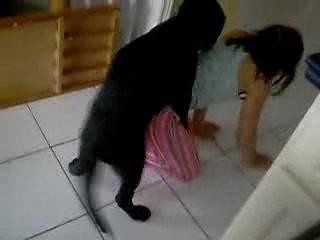 Dress Pink Fucking With Dog