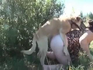 Taking a dog going out and fucking orgy him - Dog fuck free porn