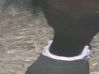 (Horse Fuck Big Cook GAY Runking 2018)