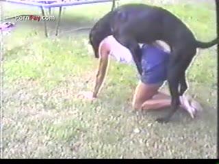 Long Dick Of Dog Deepthroat Her Pussy