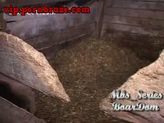 55688845b45cb_(new)