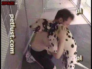 human And Dog fucking
