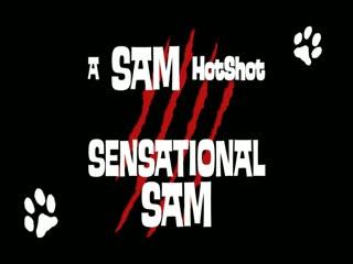 Crazy dog fucking his owner hardcore - Dog sex HD