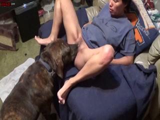 57917e3eba68b_(new) free porn animal video