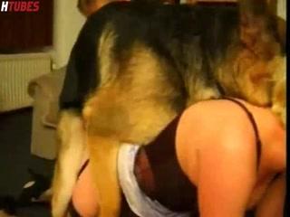 Experience High Definition Animal Sex Like Never Before - Watch XXX Fucking Animal Video Now!