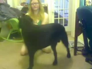 Experience Animal Sex Like Never Before - Download Free Porn Sex Now!