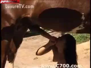 Witness the Unbelievable: High Quality Orgy Swallow Dog Sex!