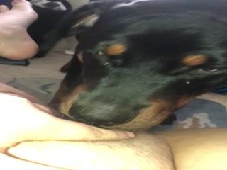 Witness the Unbelievable: Puppy Eats Pussy in Animal Sex XXX!