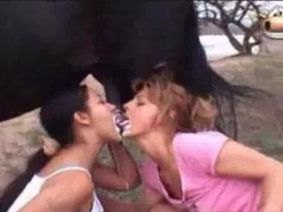 Two Girls Go Wild with Horse Cum - Download Free Animal Video Now!