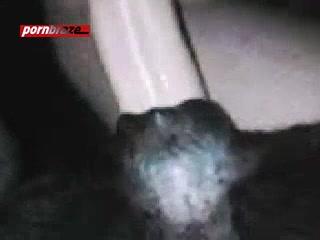 Experience the Wild Side of Intimacy with Free Cam Sex Dog Porn Videos – Watch Now!