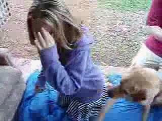 Experience an Unforgettable Sexual Adventure with Your Dog - Get Free Dog Porn Animal Videos Now!