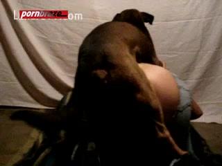 Experience Unforgettable Hot Cam Sex with Dog - Watch & Download FREE Porn Now!
