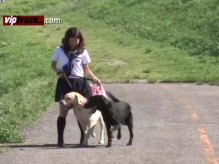 Outdoor Fucked Animal Dog download free porn sex