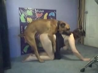 Dog fuck Girl - Dont Stop Fucking Stronger watch animal sex xxx