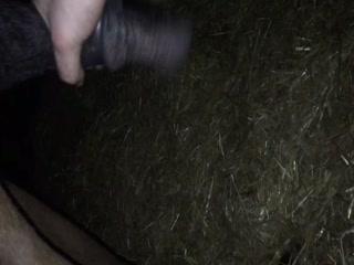 Experience the Wildly Entertaining Horse Fucking Cook Show Porn Part 2 Download - Free Animal Video
