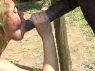 Teen Takes On Big Challenge - Watch and Download Free Porn of Black Horse Cock Deepthroat!