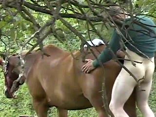 Outrageous: Man Caught Fucking Horse in Free Animal Video!