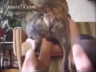 Luscious Blonde Loves Spanking Her Dog's Ass - A Pornographic Delight!