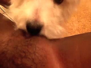 Outrageous: Watch This Woman's Dog Licking Her Pussy!