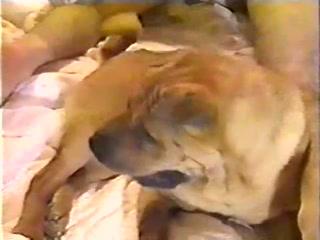 Blonde Girl Caught in Shocking Public Sex Act With Dog!