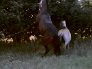 She Loves It Wild: Woman's Unconventional Animal Attraction!