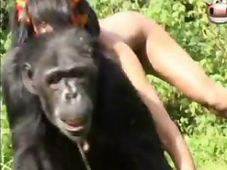 Two Hot Babes and a Frolicking Monkey: A Night to Remember!
