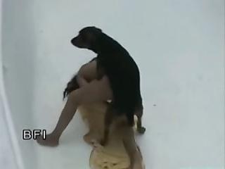 Experience Unparalleled Joy with Your Furry Friend - Doggy Gets an Amazing Pleasure!