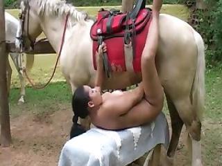 Slutty Pleasure Seeking: Juicy Slut Wants to Be Pounded by a Horse!