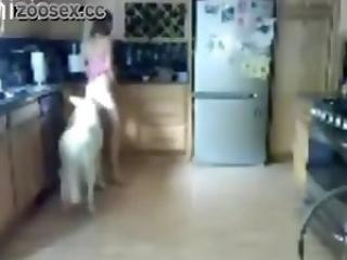 Barely legal babe in dog sex stories