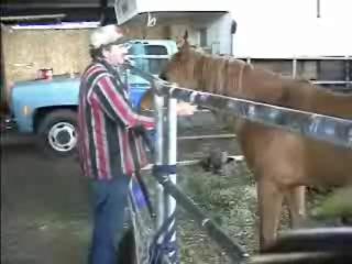 Unlock the Best Horse Sex Videos: High Quality and Free to Watch!