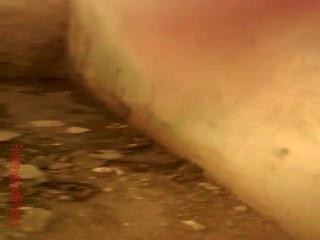 Warning: Dog Fucks Girl in Abandoned Building - Free Zoo Porn Dog Video - Watch Now!