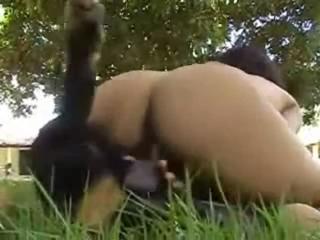 Tight amateur teen mounted and drilled well from behind by enormous K9 to satisfy her hole - Zoo Porn Dog Sex, Zoophilia top videos free sex download animal video free