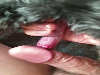 adore my cock dog Zoophilia, Zoo Porn, and Dog Sex in the Zoo