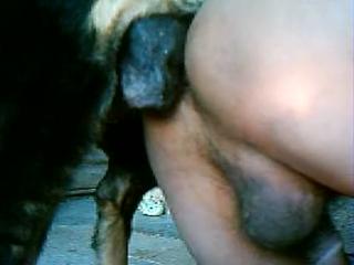 Middle-aged man bends over and loves doggystyle while cock-hungry hanging out with a zoophile K9 - Zoophilia, Zoo Porn, Dog Sex