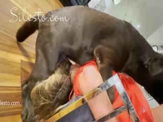 Compilation of Veronica Silesto Blowjobs - Zoo Porn Dog Sex, Zoophilia