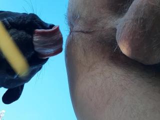 Cum is what my dog gives me. Only on our site can you watch free porn videos and see free animal sex.