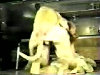 Horny dog fucks her until they both have a hard orgasm - Zoo Porn Dog Sex, Zoophilia