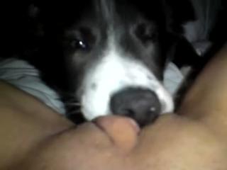 Lilp and her little pup porno zoo animal sex sex zoo - Zoo Porn Dog Sex, Zoophilia